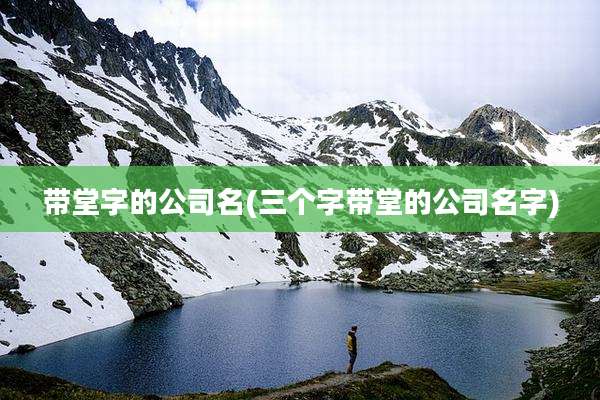 带堂字的公司名(三个字带堂的公司名字)