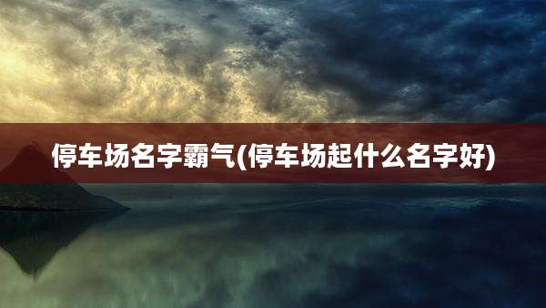 停车场名字霸气(停车场起什么名字好)