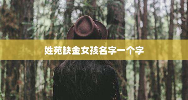 姓苑缺金女孩名字一个字