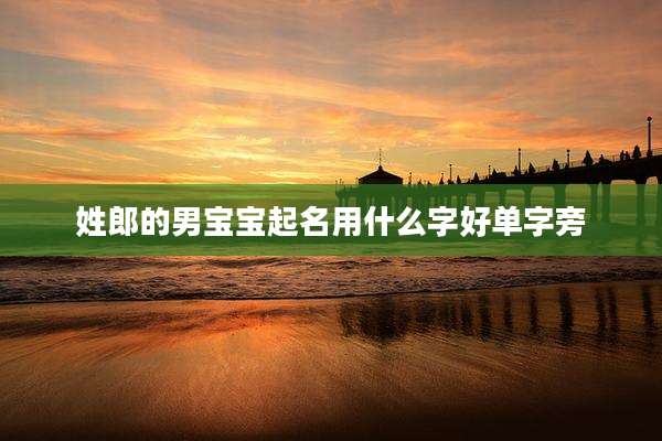 姓郎的男宝宝起名用什么字好单字旁