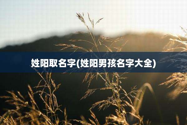 姓阳取名字(姓阳男孩名字大全)