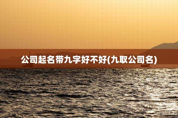 公司起名带九字好不好(九取公司名)