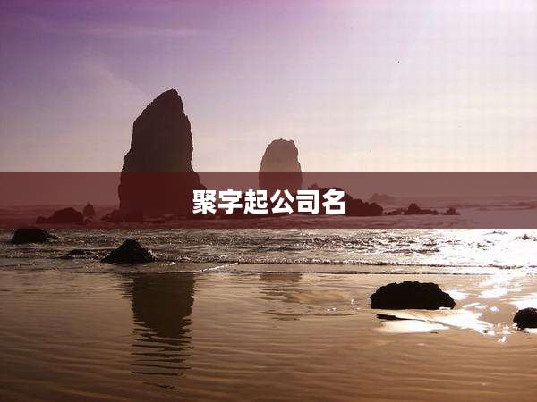 聚字起公司名