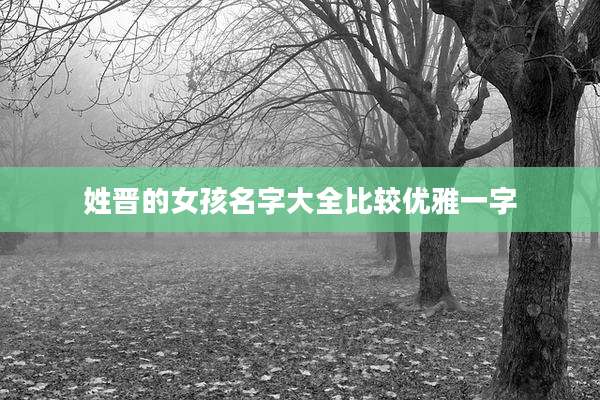 姓晋的女孩名字大全比较优雅一字
