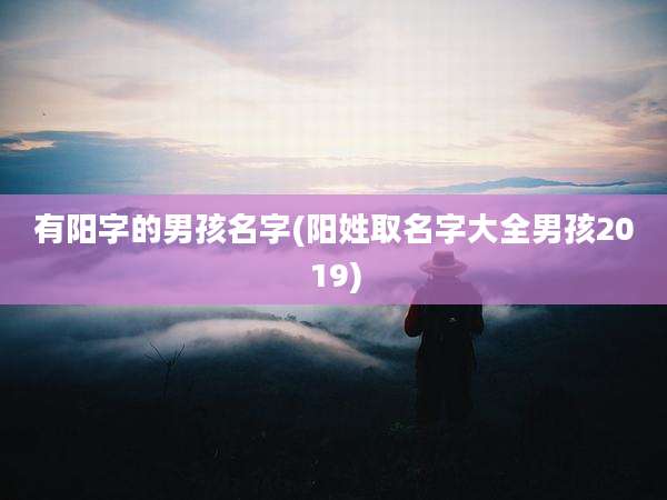 有阳字的男孩名字(阳姓取名字大全男孩2019)