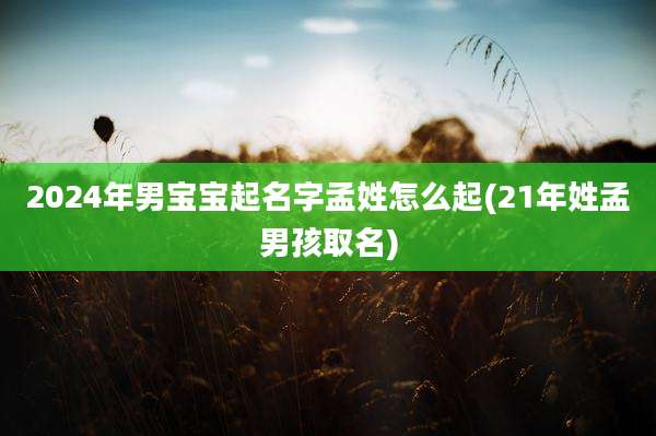 2024年男宝宝起名字孟姓怎么起(21年姓孟男孩取名)