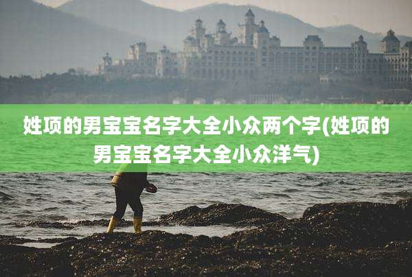 姓项的男宝宝名字大全小众两个字(姓项的男宝宝名字大全小众洋气)