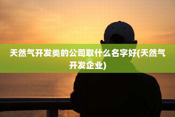 天然气开发类的公司取什么名字好(天然气开发企业)