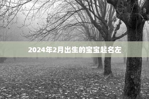 2024年2月出生的宝宝起名左