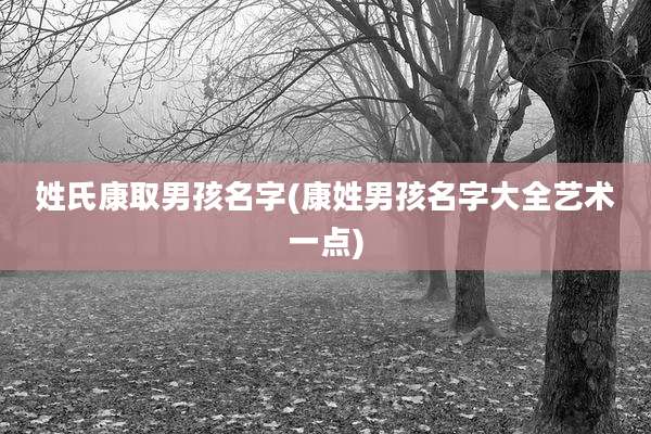 姓氏康取男孩名字(康姓男孩名字大全艺术一点)