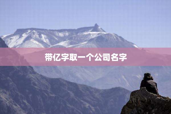 带亿字取一个公司名字