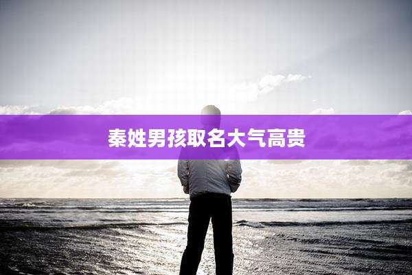 秦姓男孩取名大气高贵
