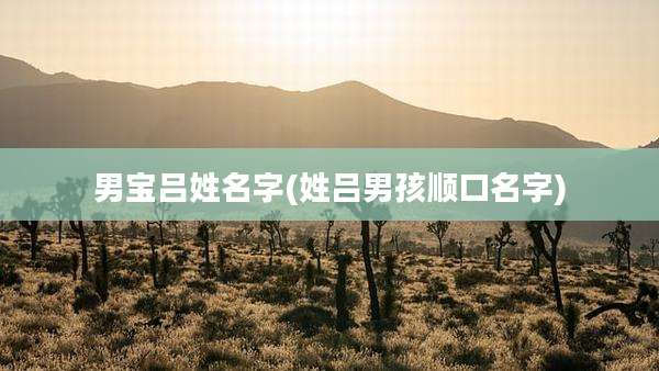 男宝吕姓名字(姓吕男孩顺口名字)