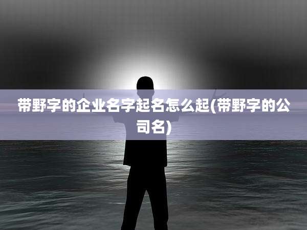 带野字的企业名字起名怎么起(带野字的公司名)