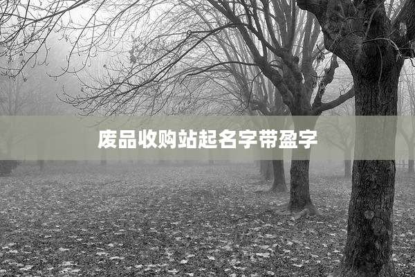 废品收购站起名字带盈字