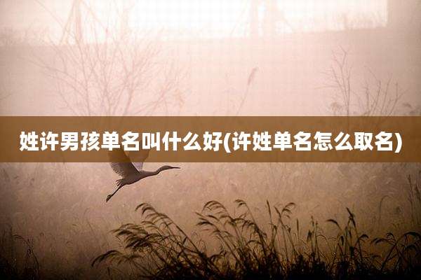 姓许男孩单名叫什么好(许姓单名怎么取名)
