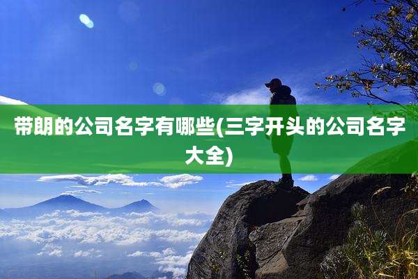 带朗的公司名字有哪些(三字开头的公司名字大全)