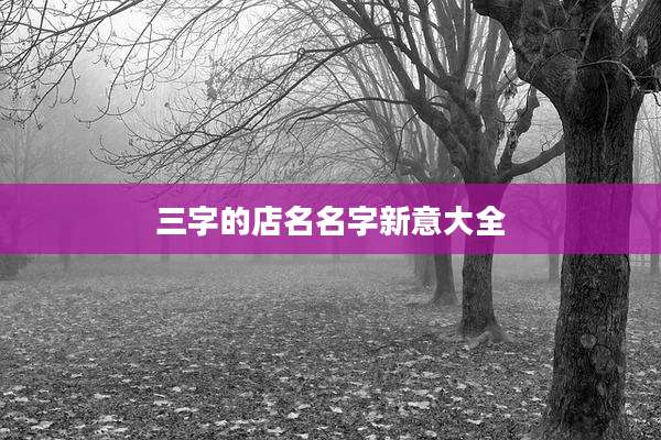三字的店名名字新意大全