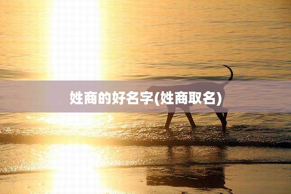 姓商的好名字(姓商取名)