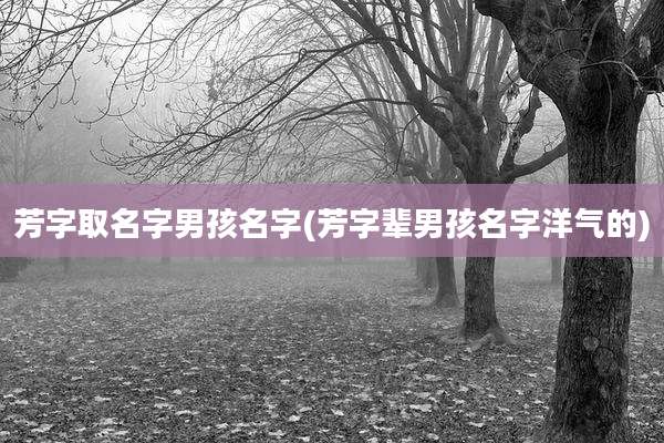 芳字取名字男孩名字(芳字辈男孩名字洋气的)