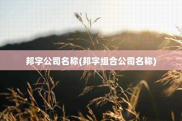 邦字公司名称(邦字组合公司名称)