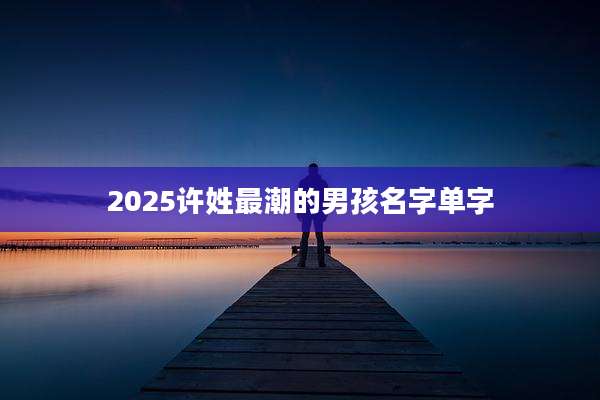 2025许姓最潮的男孩名字单字