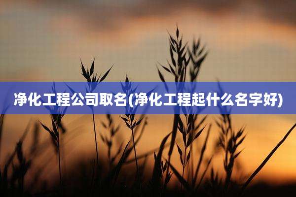 净化工程公司取名(净化工程起什么名字好)