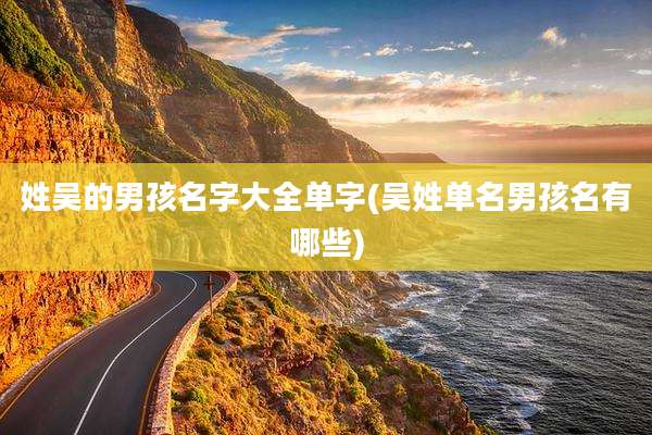 姓吴的男孩名字大全单字(吴姓单名男孩名有哪些)