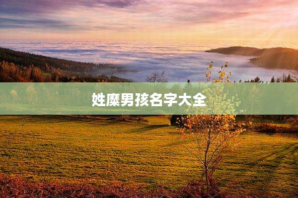 姓糜男孩名字大全