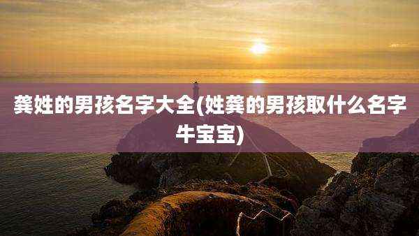 龚姓的男孩名字大全(姓龚的男孩取什么名字牛宝宝)