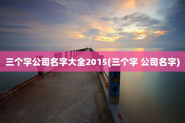 三个字公司名字大全2015(三个字 公司名字)