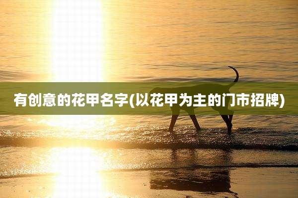 有创意的花甲名字(以花甲为主的门市招牌)