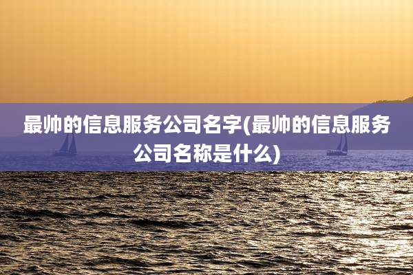 最帅的信息服务公司名字(最帅的信息服务公司名称是什么)