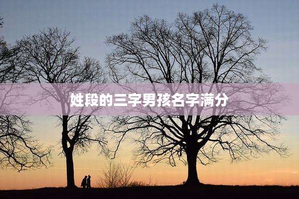 姓段的三字男孩名字满分
