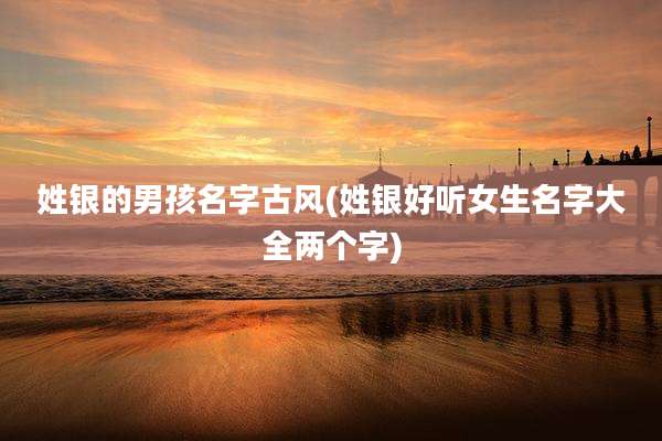 姓银的男孩名字古风(姓银好听女生名字大全两个字)