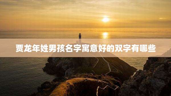 贾龙年姓男孩名字寓意好的双字有哪些