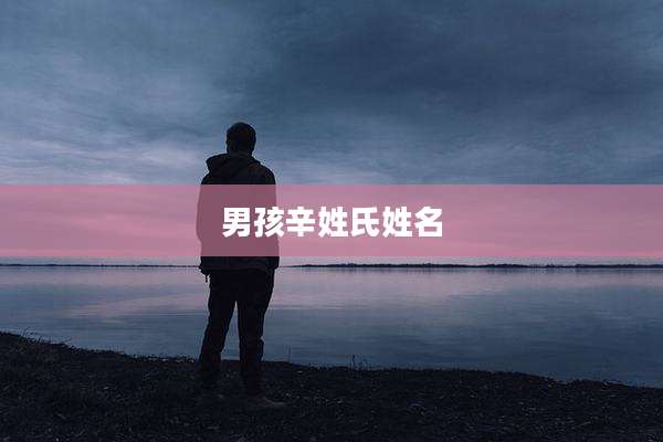男孩辛姓氏姓名