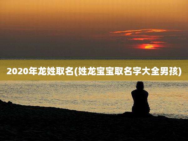 2020年龙姓取名(姓龙宝宝取名字大全男孩)