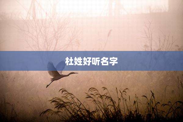 杜姓好听名字