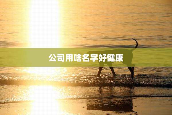 公司用啥名字好健康