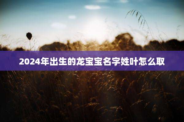 2024年出生的龙宝宝名字姓叶怎么取