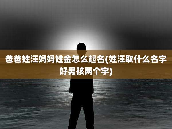 爸爸姓汪妈妈姓金怎么起名(姓汪取什么名字好男孩两个字)