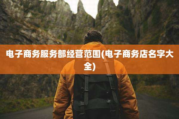 电子商务服务部经营范围(电子商务店名字大全)