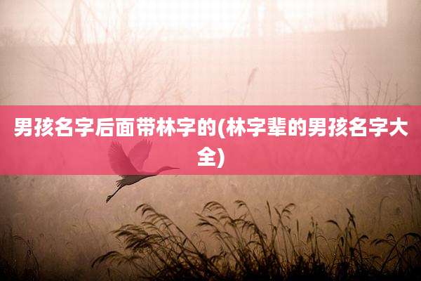 男孩名字后面带林字的(林字辈的男孩名字大全)