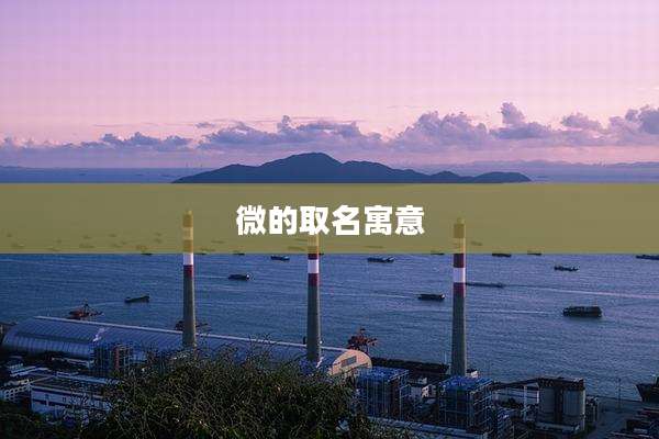微的取名寓意