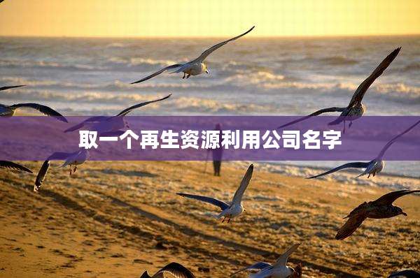 取一个再生资源利用公司名字