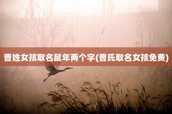 曹姓女孩取名鼠年两个字(曹氏取名女孩免费)