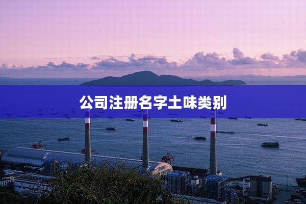 公司注册名字土味类别