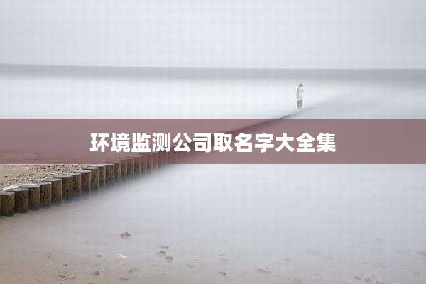 环境监测公司取名字大全集
