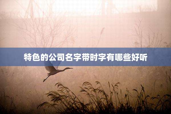 特色的公司名字带时字有哪些好听